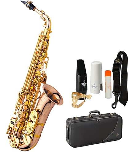 YANAGISAWA ヤナギサワテナーサックス　TWO10 Amazon.co.jp: YANAGISAWA T-WO10 初心者セット テナーサックス